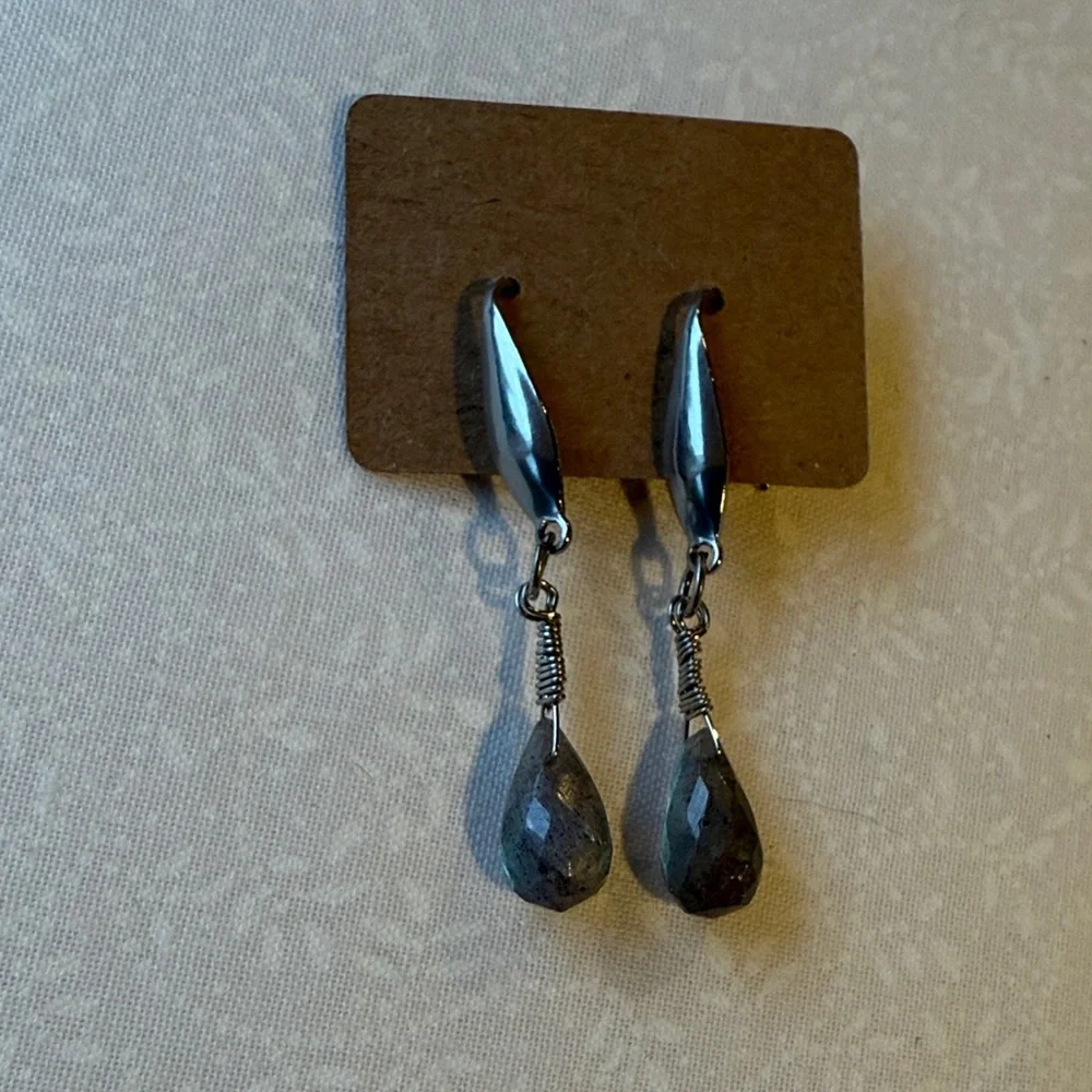 Stainless steel and Labradorite Drop‎ Earrings